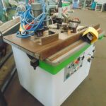 Kanterica krivolinijska SINGLE