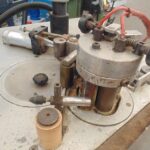 Kanterica krivolinijska SINGLE