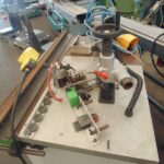 Kanterica krivolinijska SINGLE