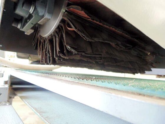 Četkara sa transporterom